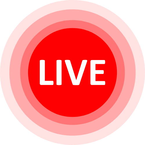 Meganiex Webcam